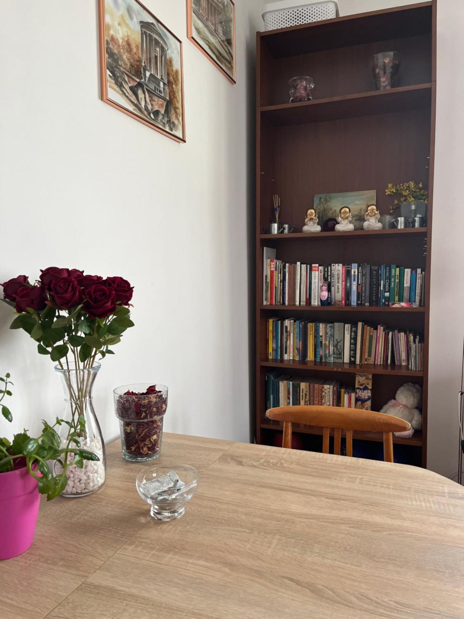 Apartament Przy Parku Czartoryskich - Faktury Vat - Parking Puławy Eksteriør bilde